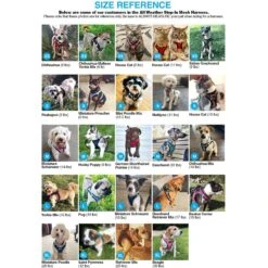 Best Pet Supplies Voyager Army Base Mesh Dog Harness -PetSafe Kong Shop 107042 PT8. AC SS1800 V1575486253