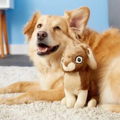 GoDog Wildlife Chew Guard Rabbit Squeaky Plush Dog Toy -PetSafe Kong Shop 107692 PT2. AC SS1800 V1530915317