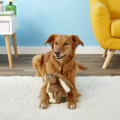 GoDog Wildlife Chew Guard Rabbit Squeaky Plush Dog Toy -PetSafe Kong Shop 107692 PT3. AC SS1800 V1545244384