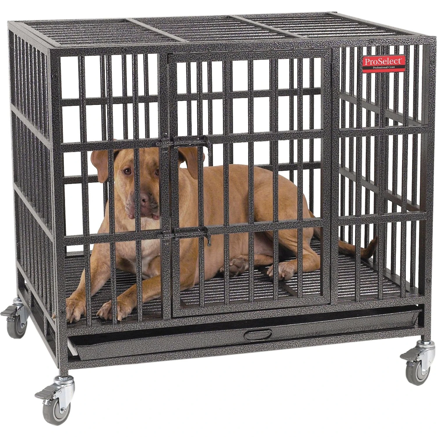 ProSelect Empire Single Door Steel Dog Crate 1 ProSelect Empire Single Door Steel Dog Crate