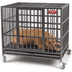 ProSelect Empire Single Door Steel Dog Crate 8 ProSelect Empire Single Door Steel Dog Crate -PetSafe Kong Shop 108600 PT3. AC SS1800 V1480609321
