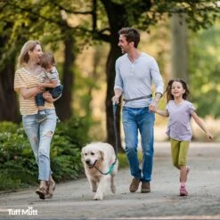 Tuff Mutt Hands-Free Bungee Leash -PetSafe Kong Shop 109113 PT4. AC SS1800 V1566939125