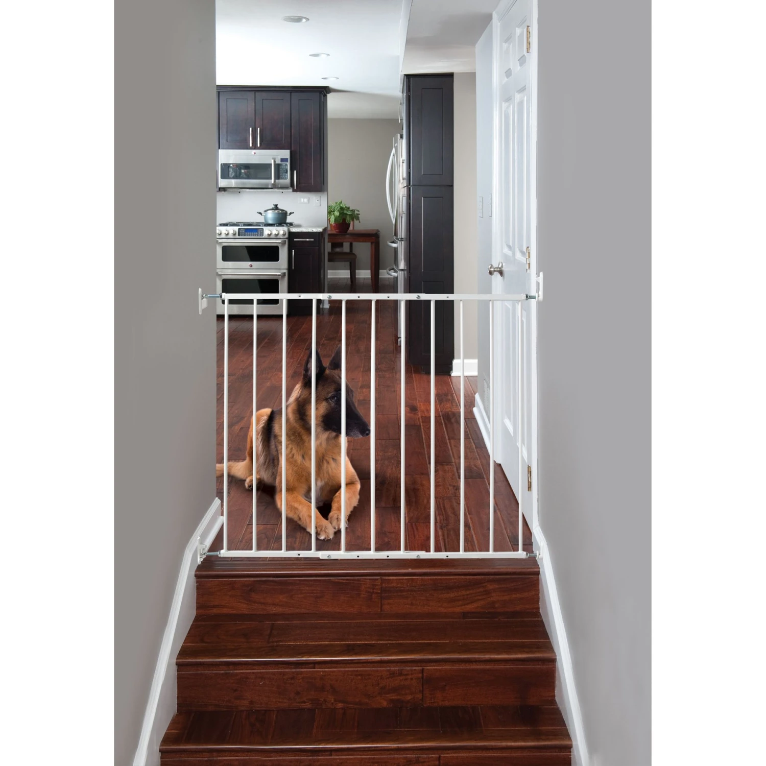 Command Pet Products Wall Mounted Pet Gate, White 1 Command Pet Products Wall Mounted Pet Gate, White