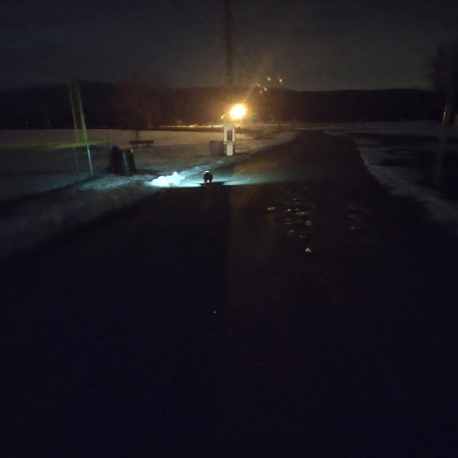 Pogi's Pet Supplies Poop Bag Dispenser + 15 Scented Waste Bags 7 Pogi's Pet Supplies Poop Bag Dispenser + 15 Scented Waste Bags - Image 7