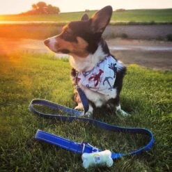 Pogi's Pet Supplies Poop Bag Dispenser + 15 Scented Waste Bags 15 Pogi's Pet Supplies Poop Bag Dispenser + 15 Scented Waste Bags -PetSafe Kong Shop 109981 PT7. AC SS1800 V1618000010