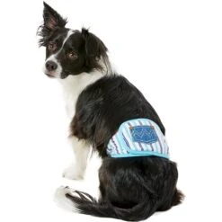 Alfie Pet Belly Band Washable Male Dog Wraps -PetSafe Kong Shop 110007 PT6. AC SS1800 V1518637607