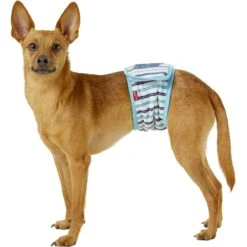 Alfie Pet Belly Band Washable Male Dog Wrap -PetSafe Kong Shop 110022 PT2. AC SS1800 V1558368189