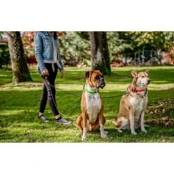 Wigzi Dual Doggie Gel Rope Dog Leash 15 Wigzi Dual Doggie Gel Rope Dog Leash -PetSafe Kong Shop 110118 PT6. AC SS1800 V1581364462