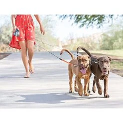 Wigzi Dual Doggie Retractable Dog Leash -PetSafe Kong Shop 110120 PT3. AC SS1800 V1581364517
