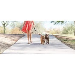 Wigzi Dual Doggie Retractable Dog Leash -PetSafe Kong Shop 110120 PT4. AC SS1800 V1581364388