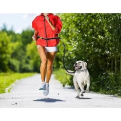 Hertzko Nylon Reflective Bungee Hands-Free Running Dog Leash 11 Hertzko Nylon Reflective Bungee Hands-Free Running Dog Leash -PetSafe Kong Shop 110134 PT5. AC SS1800 V1535131641