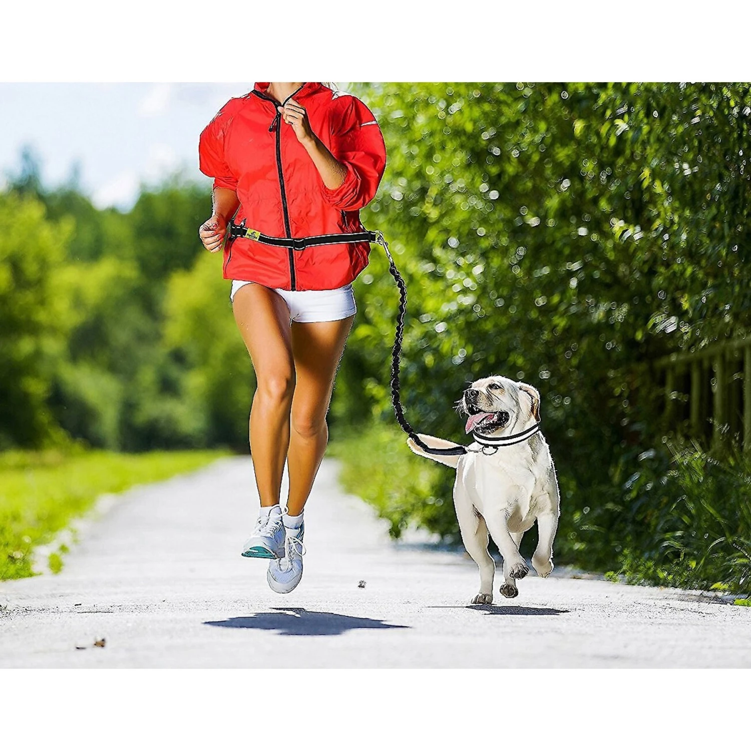 Hertzko Nylon Reflective Bungee Hands-Free Running Dog Leash 6 Hertzko Nylon Reflective Bungee Hands-Free Running Dog Leash - Image 6