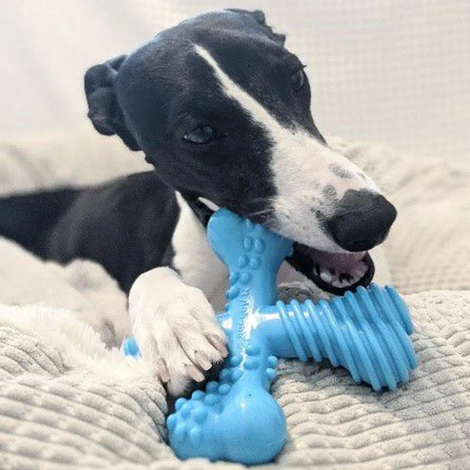 Nylabone Dog Toy Power Chew Dog Toy For Aggressive Chewers 2 Nylabone Dog Toy Power Chew Dog Toy For Aggressive Chewers - Image 2