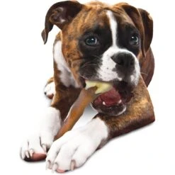 Nylabone Femur Bone Rawhide Alternative Power Chew Durable Dog Toy -PetSafe Kong Shop 110365 PT8. AC SS1800 V1658885445