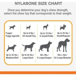 Nylabone Flavor Frenzy Power Chew Dog Toy -PetSafe Kong Shop 110381 PT4. AC SS1800 V1644922025