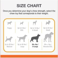 Nylabone Flavor Frenzy Strong Chew Toy Dog Toy Pepperoni Pizza -PetSafe Kong Shop 110383 PT4. AC SS1800 V1696515986