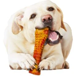Nylabone Flavor Frenzy Strong Chew Toy Dog Toy Pepperoni Pizza -PetSafe Kong Shop 110383 PT8. AC SS1800 V1658770793