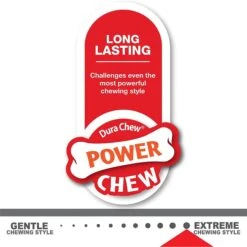 Nylabone Flavor Frenzy Power Chew Triple Pack Chili Cheese Dog -PetSafe Kong Shop 110396 PT7. AC SS1800 V1618434709