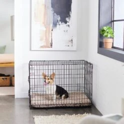 Frisco Swirl Dog Crate Mat -PetSafe Kong Shop 110506 PT5. AC SS1800 V1635258765