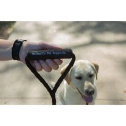 Caldwell's Original Dual Leash -PetSafe Kong Shop 110807 PT7. AC SS1800 V1628569652