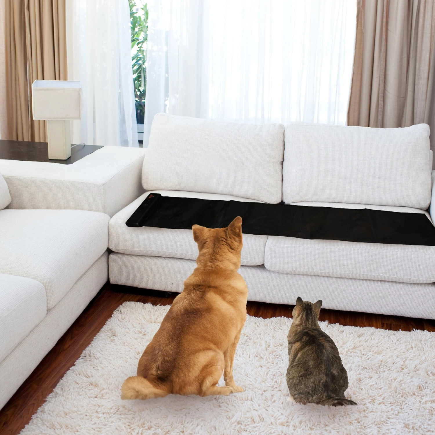 Online Pet Wholesale Sofa Scram Pet Deterrent Scat Mat, Large 3 Online Pet Wholesale Sofa Scram Pet Deterrent Scat Mat, Large - Image 3