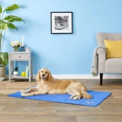 Arf Pets Self-Cooling Solid Gel Dog Crate Mat 9 Arf Pets Self-Cooling Solid Gel Dog Crate Mat -PetSafe Kong Shop 112038 PT3. AC SS1800 V1558556653