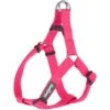 Blueberry Pet Classic Solid Nylon Step In Back Clip Dog Harness