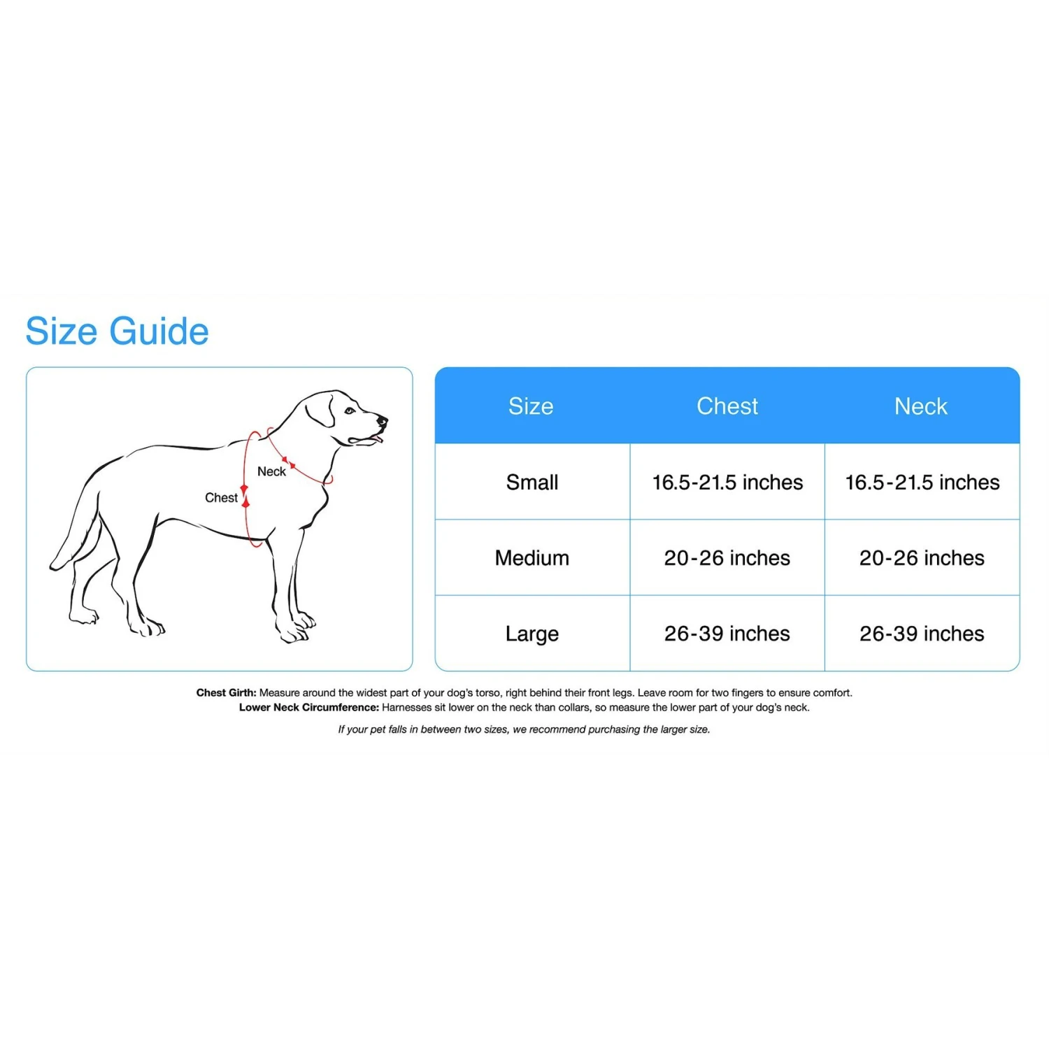 Blueberry Pet Classic Solid Nylon Step In Back Clip Dog Harness 2 Blueberry Pet Classic Solid Nylon Step In Back Clip Dog Harness - Image 2