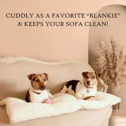 Pet Dreams Sleep-eez Classic Reversible Dog Crate Mat -PetSafe Kong Shop 112898 PT5. AC SS1800 V1684610839