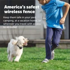 PetSafe Stay & Play Wireless Fence With Replaceable Battery Collar -PetSafe Kong Shop 113385 PT4. AC SS1800 V1685726942