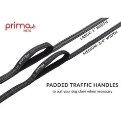 Prima Pets Dual-Handle Reflective Dog Leash -PetSafe Kong Shop 113502 PT3. AC SS1800 V1488492495