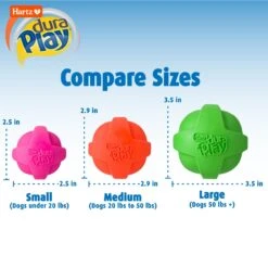 Hartz Dura Play Ball Squeaky Latex Dog Toy, Color Varies -PetSafe Kong Shop 113807 PT2. AC SS1800 V1660340091