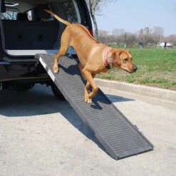 PetSTEP Folding Pet Ramp 10 PetSTEP Folding Pet Ramp -PetSafe Kong Shop 114031 PT3. AC SS1800 V1489015063