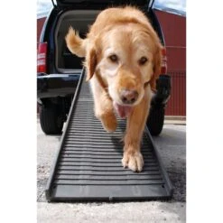 PetSTEP Folding Pet Ramp 11 PetSTEP Folding Pet Ramp -PetSafe Kong Shop 114031 PT4. AC SS1800 V1489015070