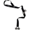 Advance Pet Potty Train Dog Bell