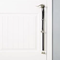 Advance Pet Potty Train Dog Bell -PetSafe Kong Shop 114336 PT7. AC SS1800 V1506977084