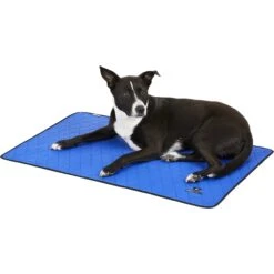 TechNiche International Evaporative Cooling Dog Pad -PetSafe Kong Shop 114573 PT3. AC SS1800 V1567528202