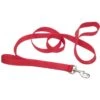 Loops 2 Double Handle Dog Leash