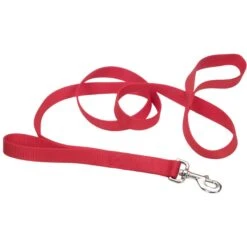 Loops 2 Double Handle Dog Leash