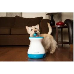 IFetch Tennis Balls 12 IFetch Tennis Balls -PetSafe Kong Shop 115168 PT6. AC SS1800 V1490133396