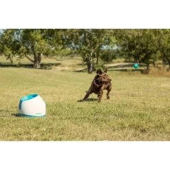 IFetch Too Automatic Ball Launcher Dog Toy 11 IFetch Too Automatic Ball Launcher Dog Toy -PetSafe Kong Shop 115173 PT5. AC SS1800 V1490133473