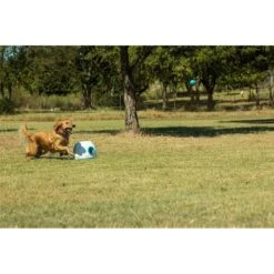 IFetch Too Automatic Ball Launcher Dog Toy 12 IFetch Too Automatic Ball Launcher Dog Toy -PetSafe Kong Shop 115173 PT6. AC SS1800 V1490133472