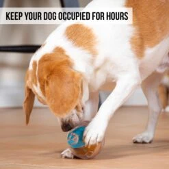 Pet Zone IQ Treat Dispenser Ball Dog Toy -PetSafe Kong Shop 115632 Pt3. AC SS1800 V1583771890