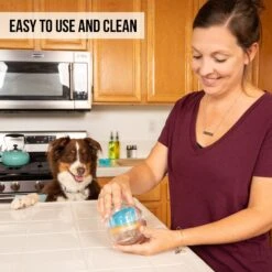 Pet Zone IQ Treat Dispenser Ball Dog Toy -PetSafe Kong Shop 115632 Pt4. AC SS1800 V1583771913