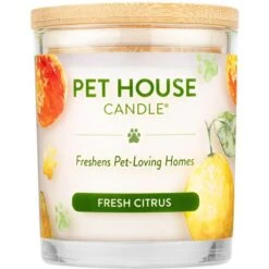 Pet House Fresh Citrus Natural Plant-Based Wax Candle
