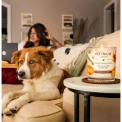 Pet House Pumpkin Spice Natural Plant-Based Wax Candle -PetSafe Kong Shop 115981 PT7. AC SS1800 V1634837489