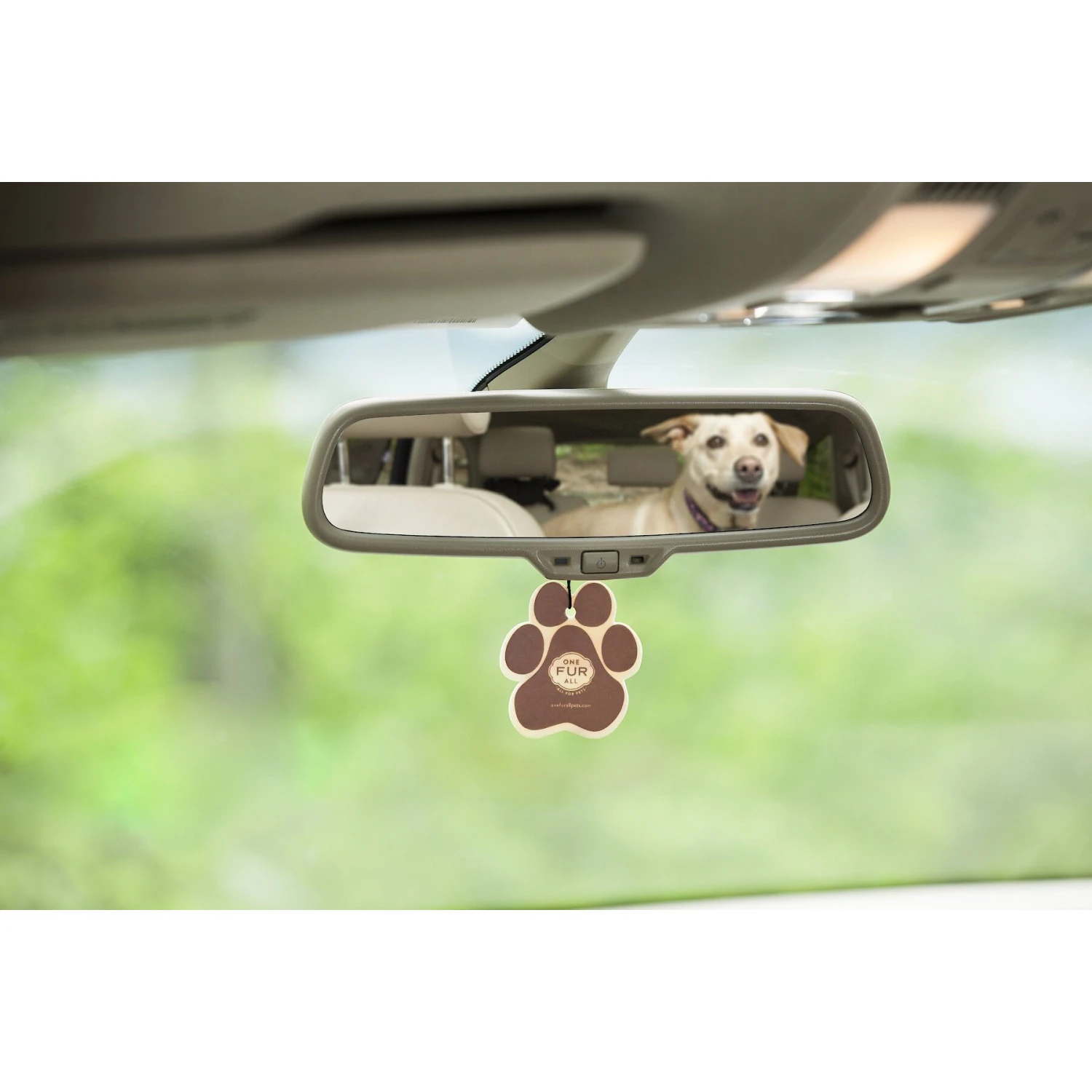 Pet House Pumpkin Spice Car Air Freshener 2 Pet House Pumpkin Spice Car Air Freshener - Image 2