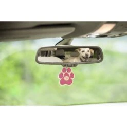 Pet House Vanilla Creme Brulee Car Air Freshener -PetSafe Kong Shop 116024 PT1. AC SS1800 V1518561406