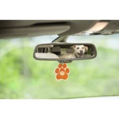 Pet House Pina Colada Car Air Freshener -PetSafe Kong Shop 116035 PT1. AC SS1800 V1518561468