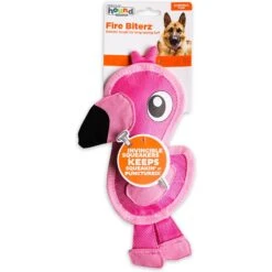 Outward Hound Fire Biterz Squeaky Dog Toy Flamingo -PetSafe Kong Shop 116156 PT5. AC SS1800 V1636511217